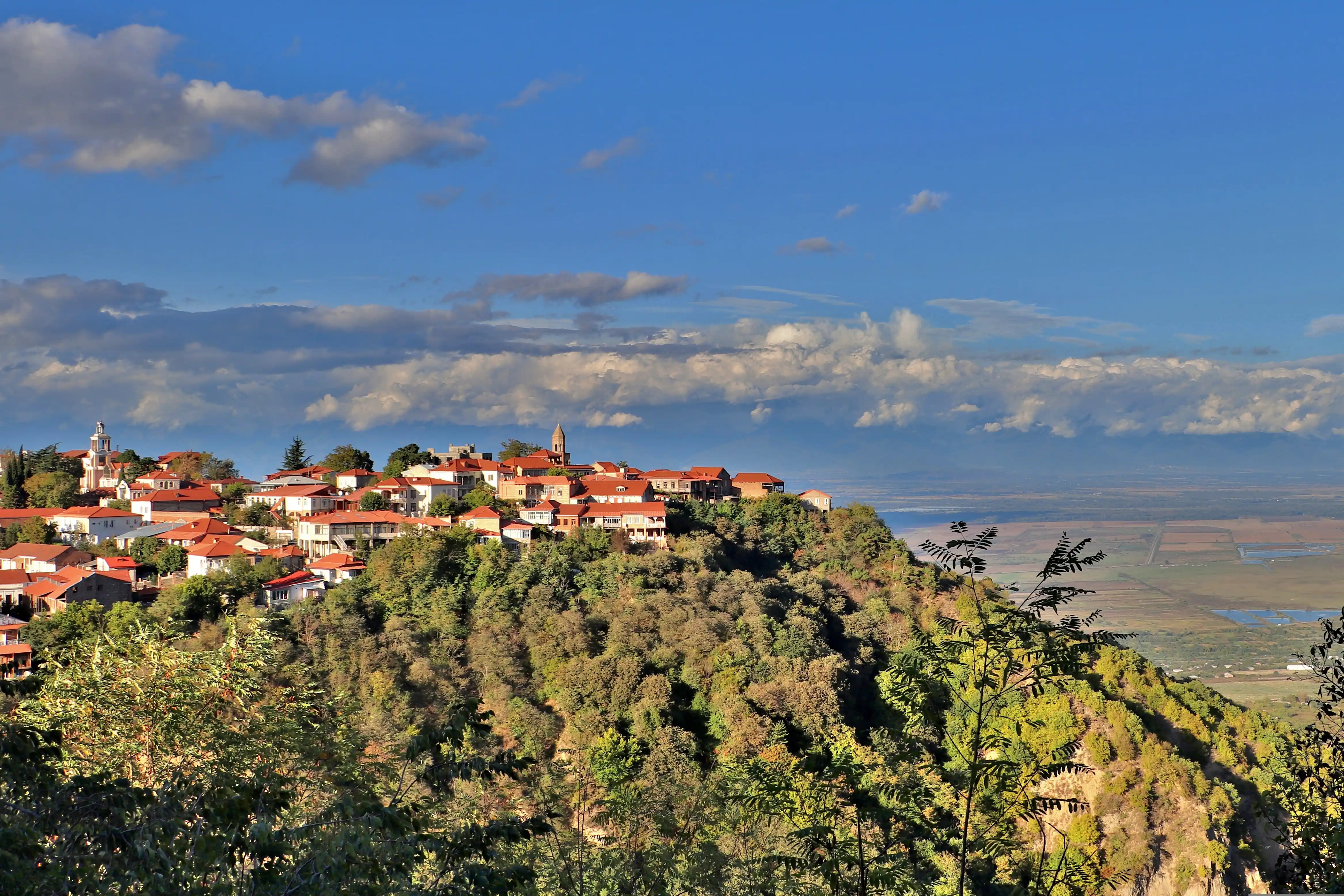 Kakheti One-Day Tour: Wine, Food & Sighnaghi